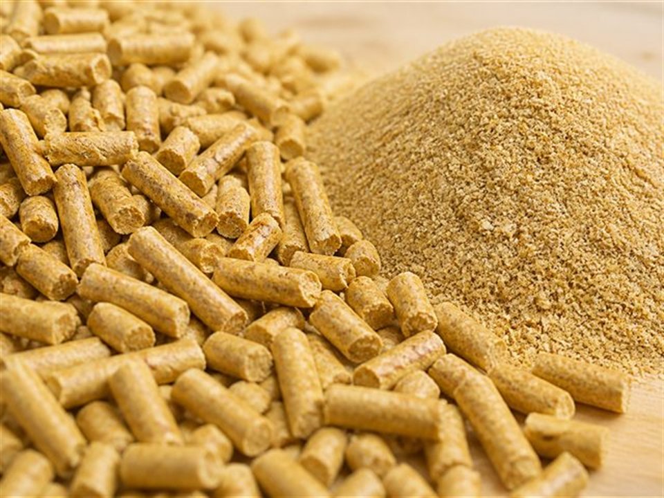 Pelet dan bahan baku untuk formulasi pakan ternak